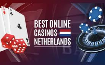 De Impact van Bonussen bij Online Casino’s: Hoe ze Werken en Waar je op Moet Letten