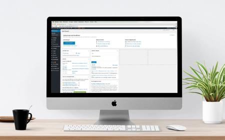 WordPress Agentur Braunschweig: Design Meets Performance