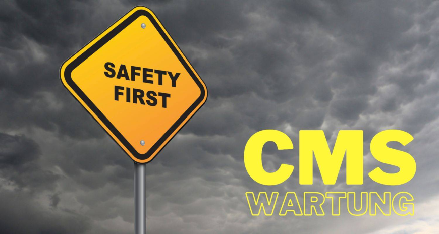 Who Benefits Most From Professional CMS Wartung Services?