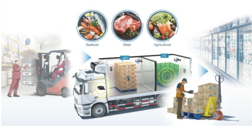 Cold Chain Logistics Market Challenges in Emerging Economies