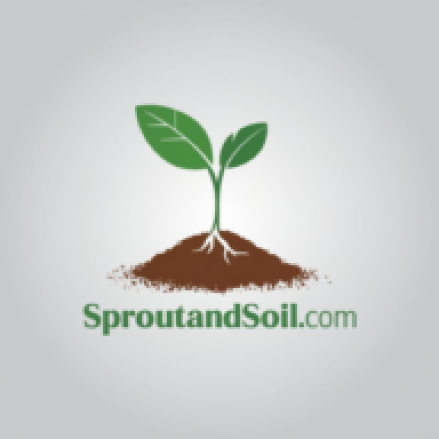 How to Keep Your Plants Alive While You're on Vacation