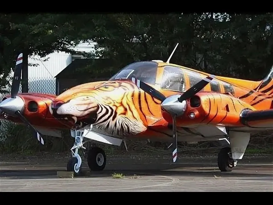 Aircraft Paint Market: Future Scope in Aviation Industry