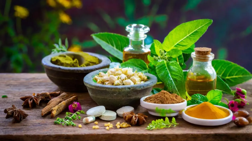 Best kerala ayurvedic treatment center