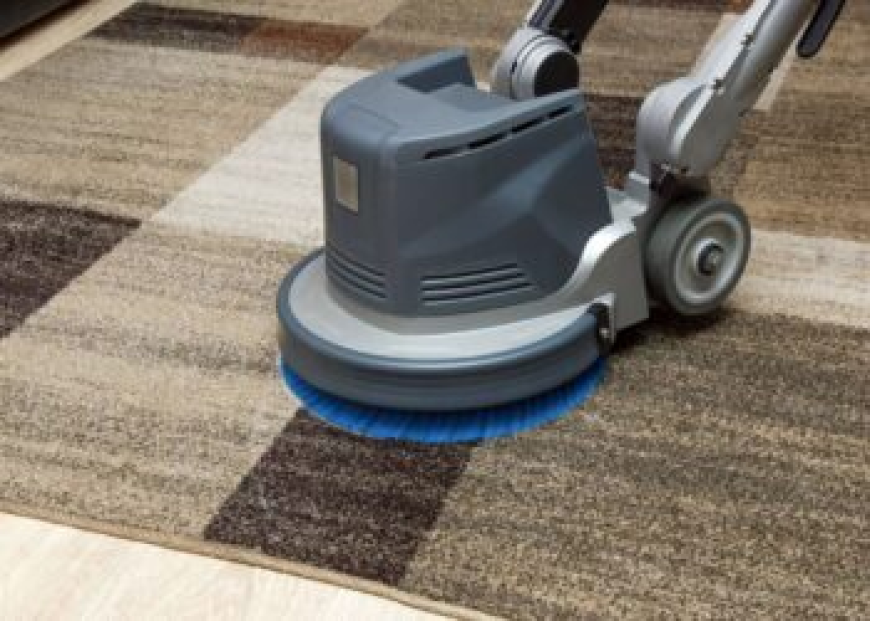 How Carpet Cleaning Contributes to a Healthier Living Space