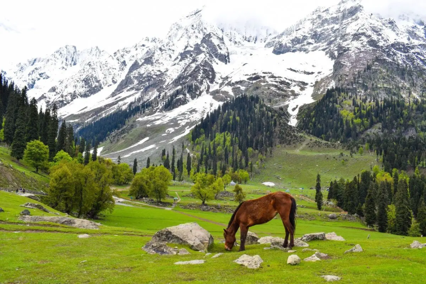 Kashmir 4 Nights 5 Days Package – Explore the Magic of Paradise