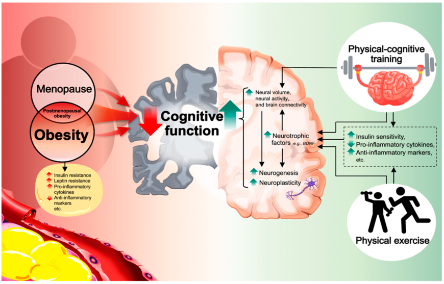 Strength Training for Cognitive Health and Sleep Optimization for Longevity