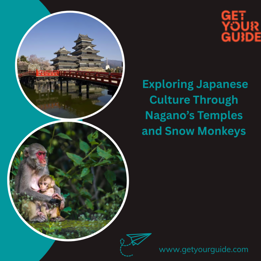 Exploring Japanese Culture Through Nagano’s Temples and Snow Monkeys