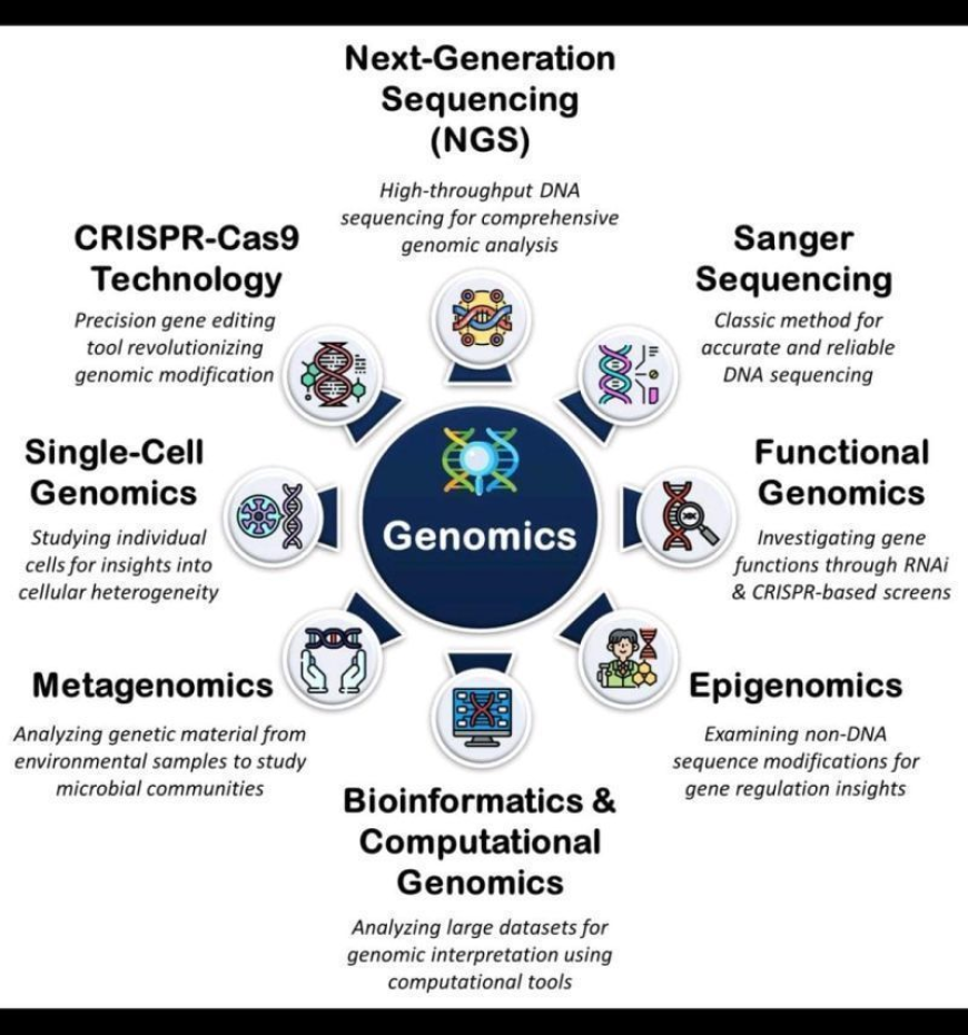 Global Genomics Market: CAGR and Revenue Analysis