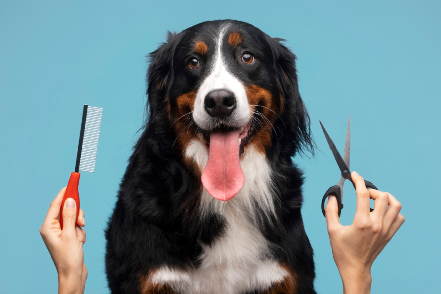 A Complete Guide to Mobile Pet Grooming Services in the UAE