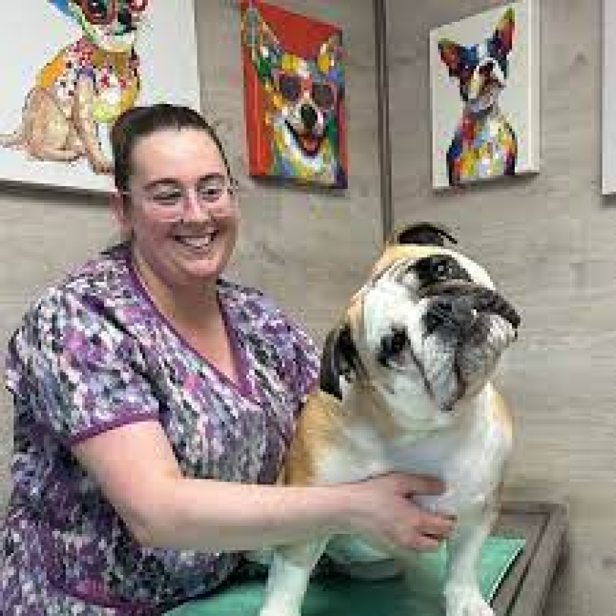 Why Do Pet Owners Trust Mountain Home Veterinary Clinic?