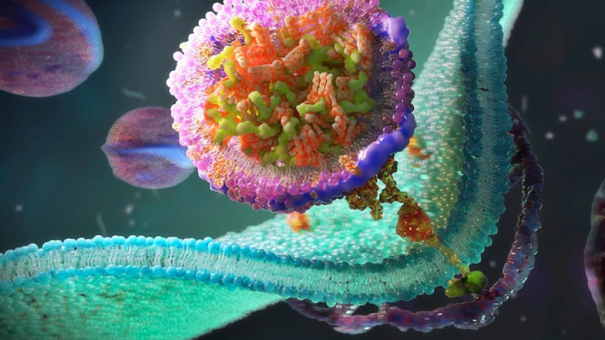 Future Trends in Life Science Membrane Technology Market