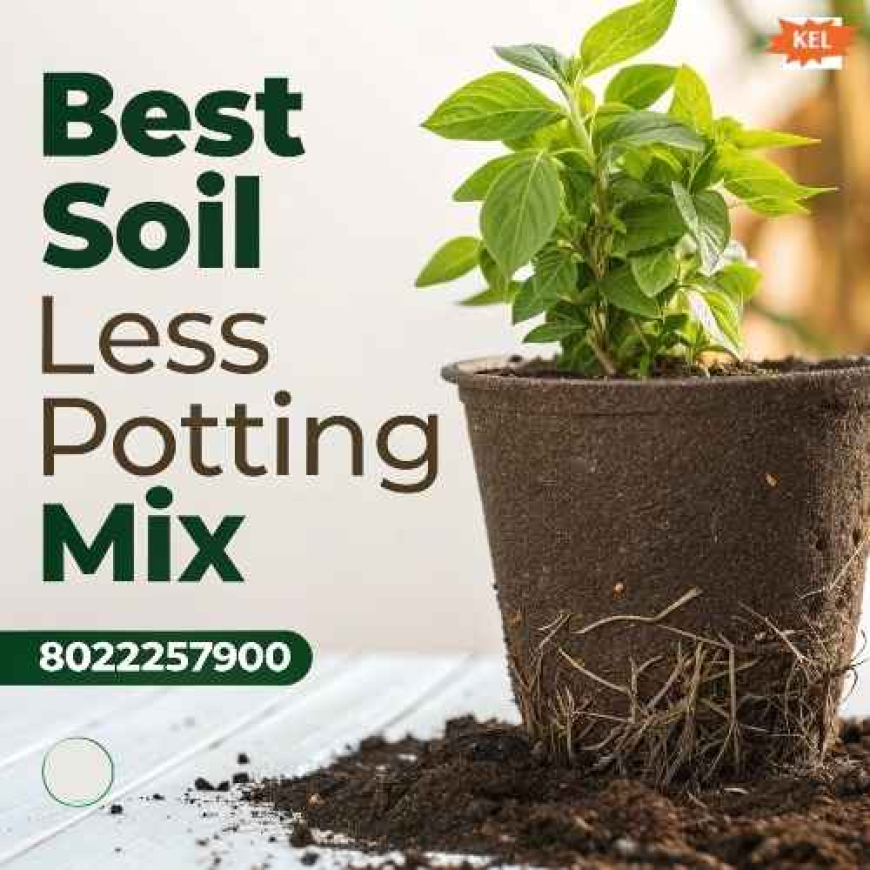 Discover the Best Soil Less Potting Mix for Healthy Plant Growth