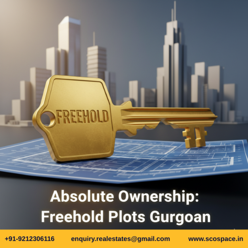 Top Deals on Commercial Land for Sale Gurgaon