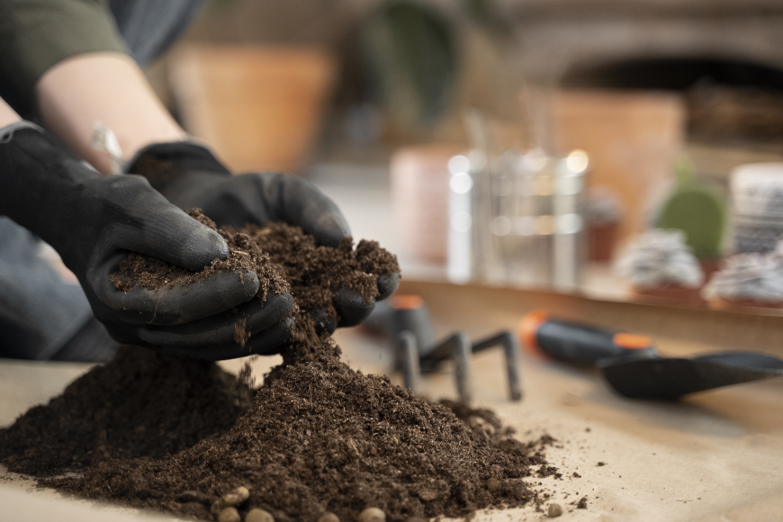 Why Choosing the Right Potting Soil Mix is the Secret to Healthier Indoor Plants
