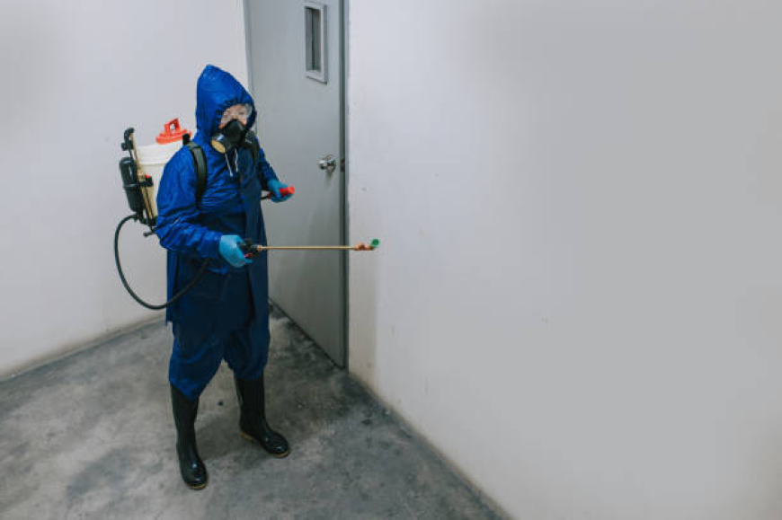 The Hidden Health Risks of Household Pests