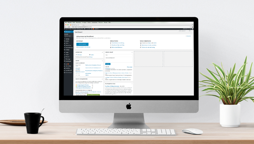 WordPress Agentur Braunschweig: Design Meets Performance