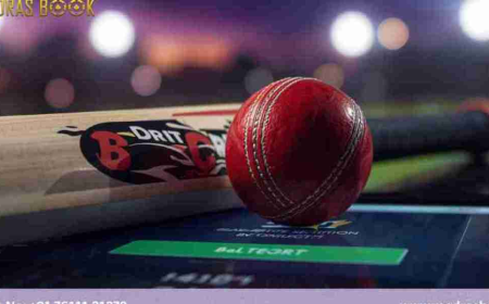 Top Platform for Best Online Cricket ID | Quick Bet ID Download