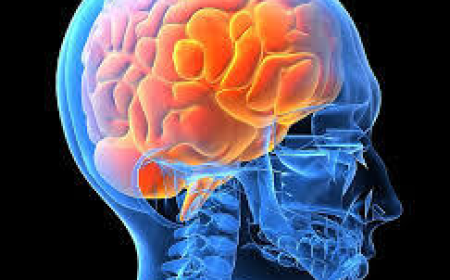 What Is the CNS Therapeutics Market and Why Is It Growing So Fast?