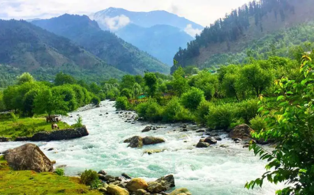 Kashmir Tour Package – Experience Heaven on Earth with TripCore
