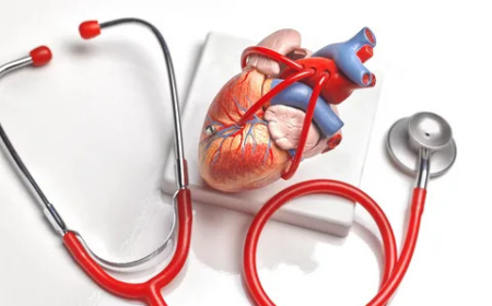 How Technology Is Transforming the Cardiovascular Devices Market