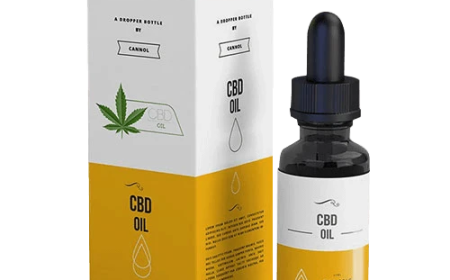 Elevate Your Brand with Bexo Packaging: Custom CBD Boxes with Logo
