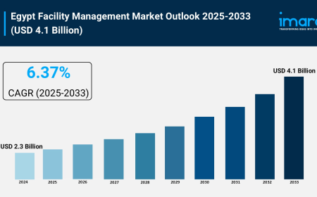 Egypt Facility Management Market Size & Trends Forecast 2025-2033