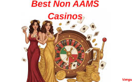 Casinò Non AAMS e Sicurezza: Come Giocare Senza Rischi