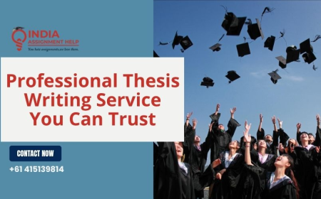 Professional Thesis Writing Service You Can Trust