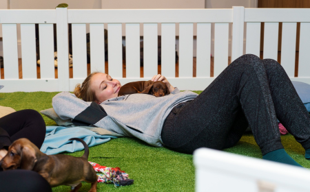 Bringing Wellness to Life: How Puppy Yoga Classes in London Inspire Positivity