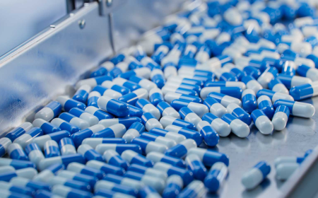 United States Pharmaceuticals Market Size, Growth, and Strategic Outlook 2025-2032