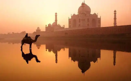 TripTajMahal – The Trusted Name for Exceptional Taj Mahal & Agra Tour Experiences