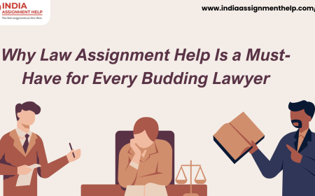 Why Law Assignment Help Is a Must-Have for Every Budding Lawyer