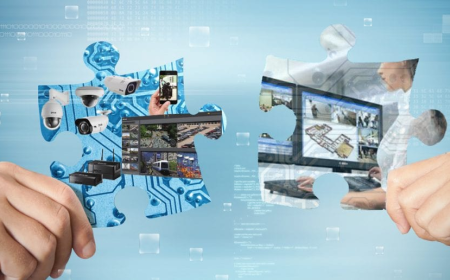 Video Management System Market Size, Trends, and Strategic Growth Analysis 2025–2032