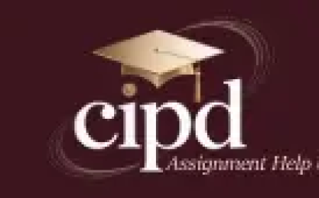 Key Advantages of Choosing Expert CIPD Assignment Writing Help in UK