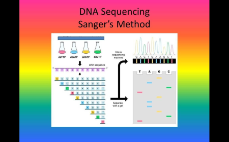 DNA Sequencing Market in Asia Pacific: Growth Analysis