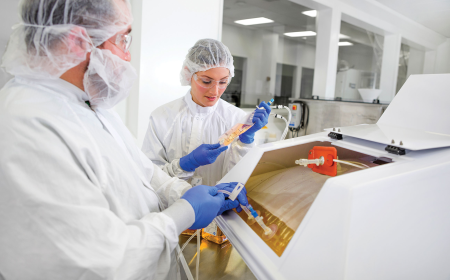 How Do Regulatory Guidelines Affect Single-Use Bioprocessing?