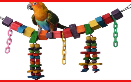 Bird Toys Market Growth and Trend Analysis: Insights on Size, Revenue, and Strategies