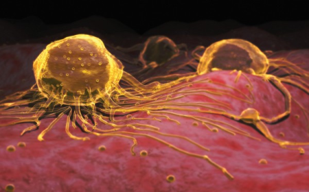 Cancer Pain Market Size, Trends, and Strategic Growth Analysis 2025-2032