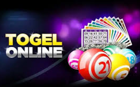 Maximizing Winnings on TOGEL88: Tips for Success