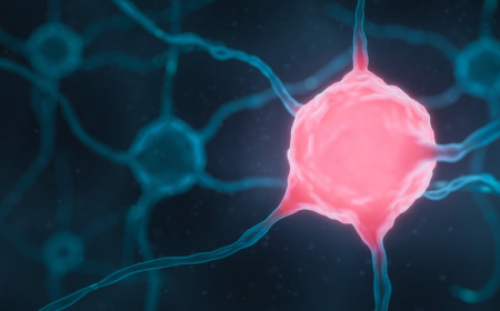 Chemotherapy Induced Neutropenia (CIN) Market Size and Growth Outlook 2025-2032