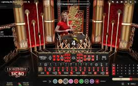 ライブカジノの選び方と楽しみ方ガイド