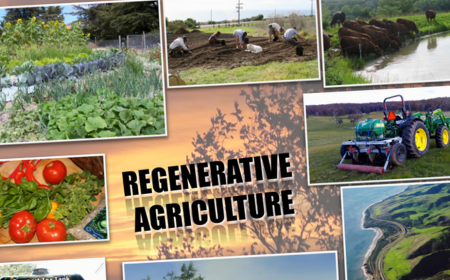 Regenerative Agriculture Market Size, Trends, Opportunities, and Growth Forecast