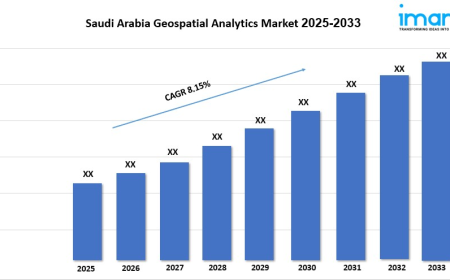Saudi Arabia Geospatial Analytics Market Share Demand Outlook and Research 2025-2033