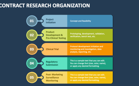 The Future of CRO Market Growth: What to Expect by 2033