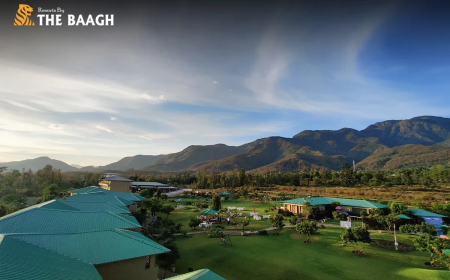 Luxury Resorts in Corbett | Premium Stays & Wildlife Retreats