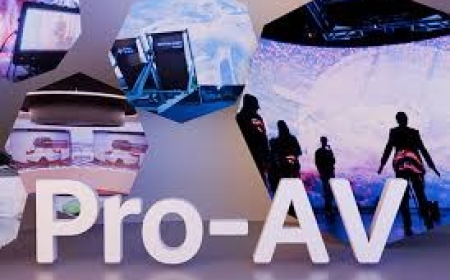 Egypt Pro AV Market Size, Share & Trends Forecast 2025-2033