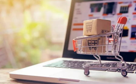 India Quick E-Commerce Market: Size, Trends, and Growth Analysis 2025-2032