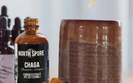 Elevate Your Performance with Functional Mushrooms for Energy