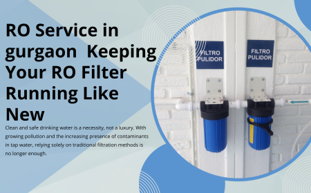 RO Service in gurgaon  Keeping Your RO Filter Running Like New
