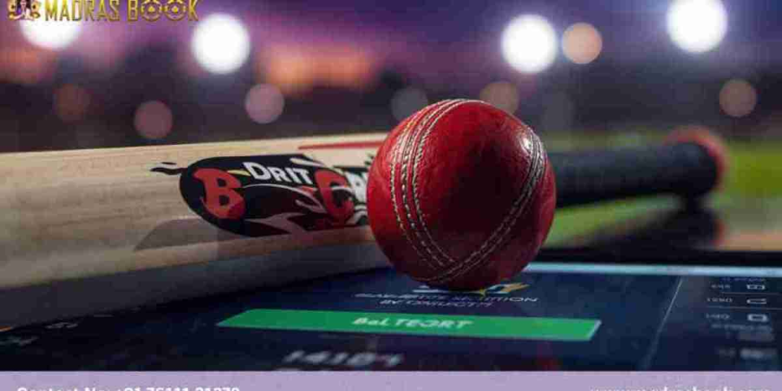 Top Platform for Best Online Cricket ID | Quick Bet ID Download